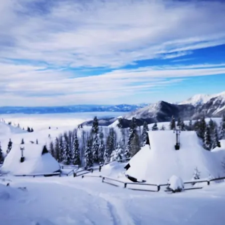 Zlatica Velika Planina Chalet