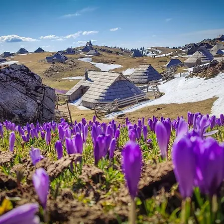 Dağ evi Zlatica Velika Planina *