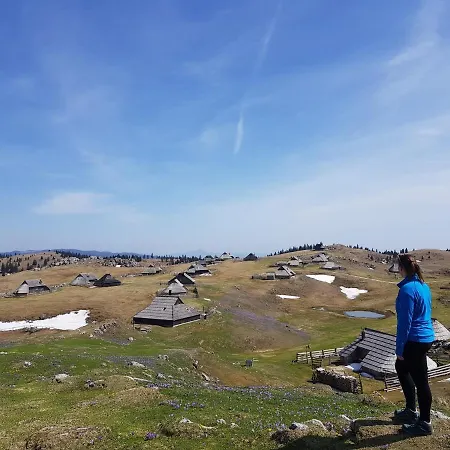 Chalet Zlatica Velika Planina
