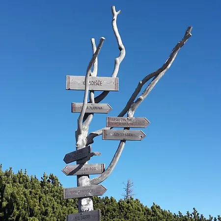 Zlatica Velika Planina Dağ evi
