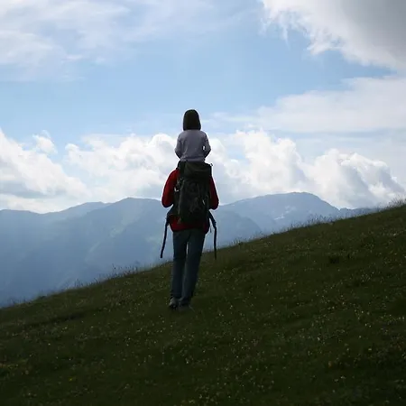 Zlatica Velika Planina