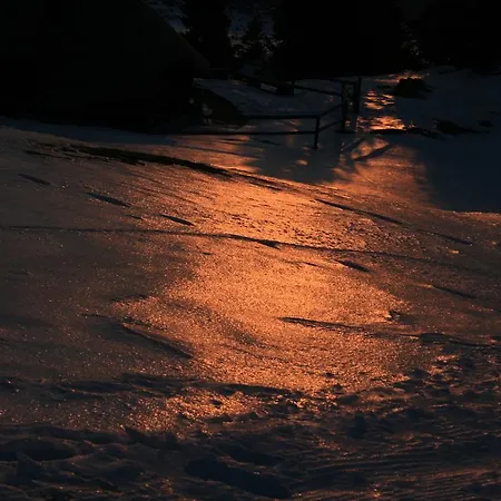 Dağ evi Zlatica Velika Planina