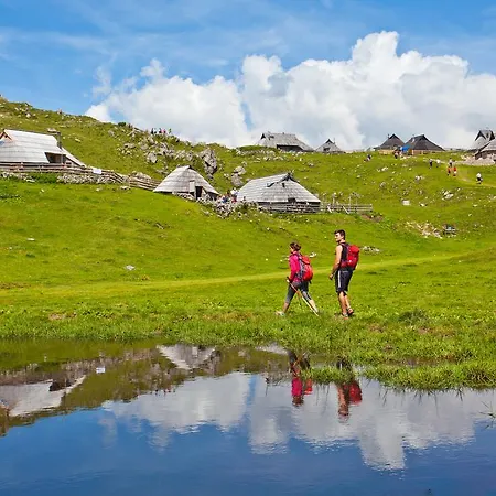 Dağ evi Zlatica Velika Planina