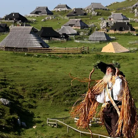 Zlatica Velika Planina * Stahovica