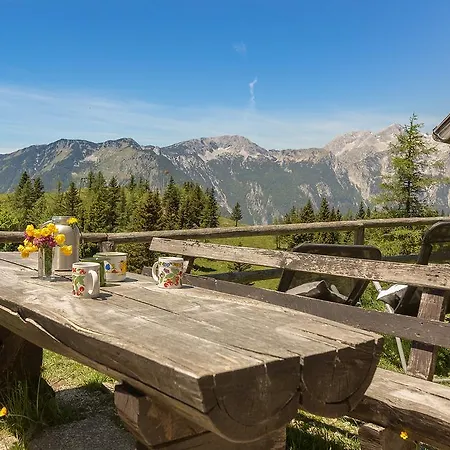 Chalet Zlatica Velika Planina *