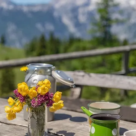 Chalet Zlatica Velika Planina *