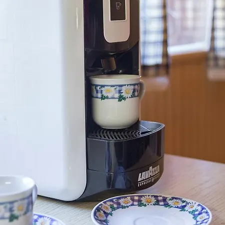 Dağ evi Zlatica Velika Planina Stahovica