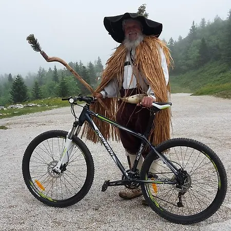 Zlatica Velika Planina Dağ evi
