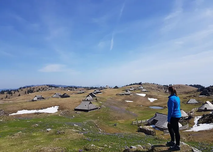 샬레 Zlatica Velika Planina