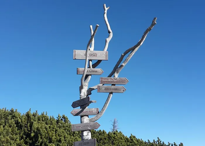 Zlatica Velika Planina 샬레