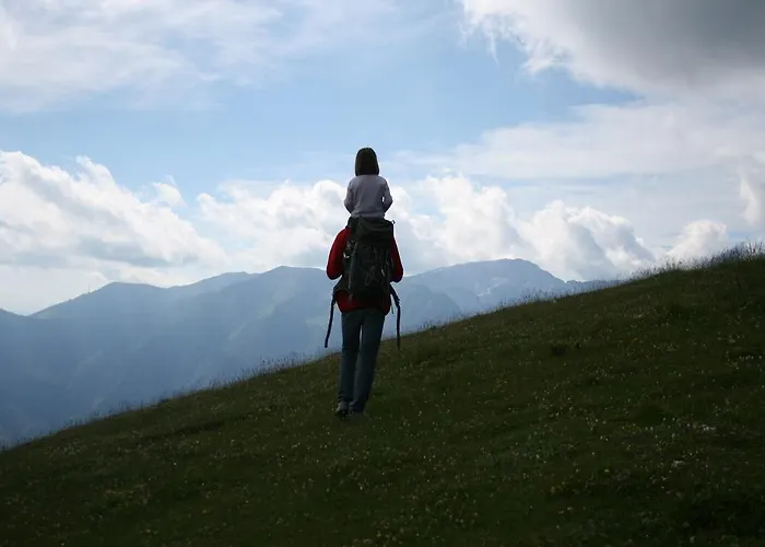 Zlatica Velika Planina