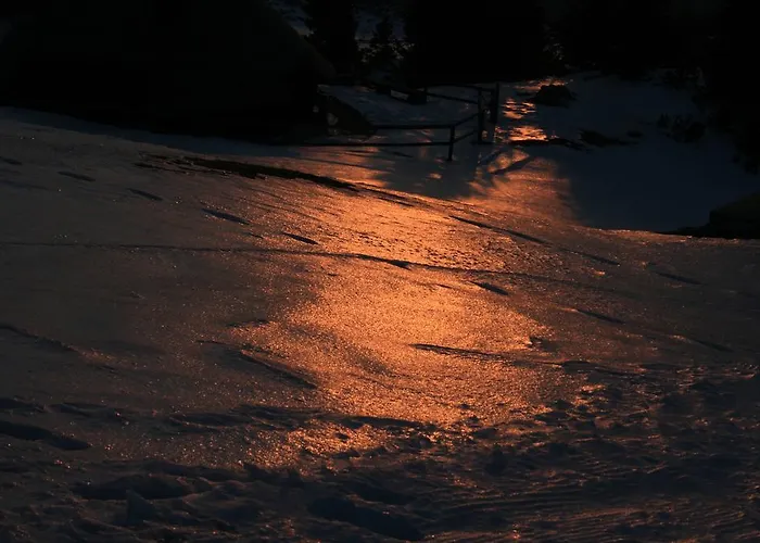 샬레 Zlatica Velika Planina