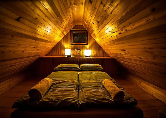 Zlatica Velika Planina シャレー オスレンドネスロヴェンスカ