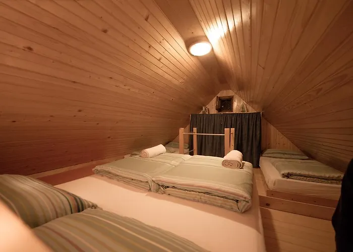 샬레 Zlatica Velika Planina