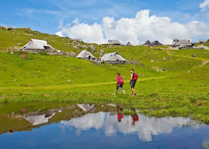 샬레 Zlatica Velika Planina