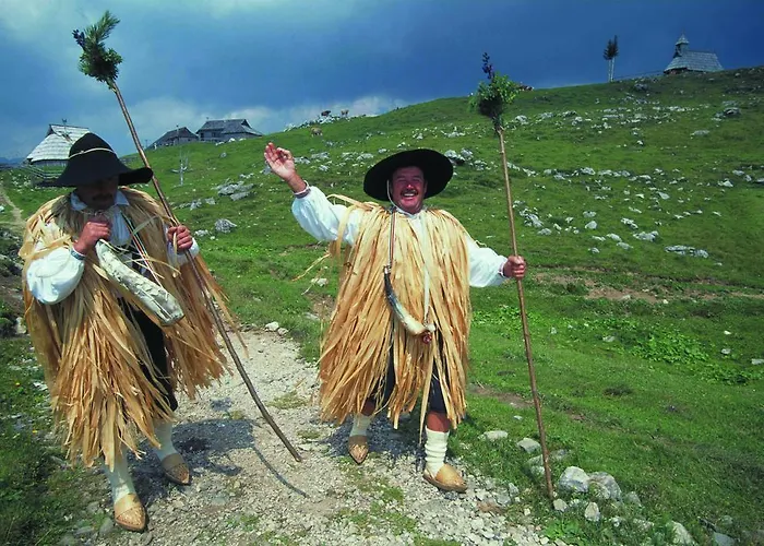 샬레 Zlatica Velika Planina