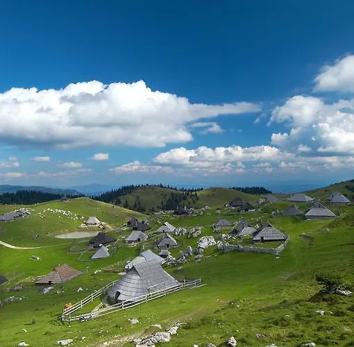 Zlatica Velika Planina 샬레 Stahovica