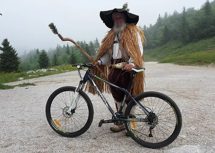 Zlatica Velika Planina 샬레